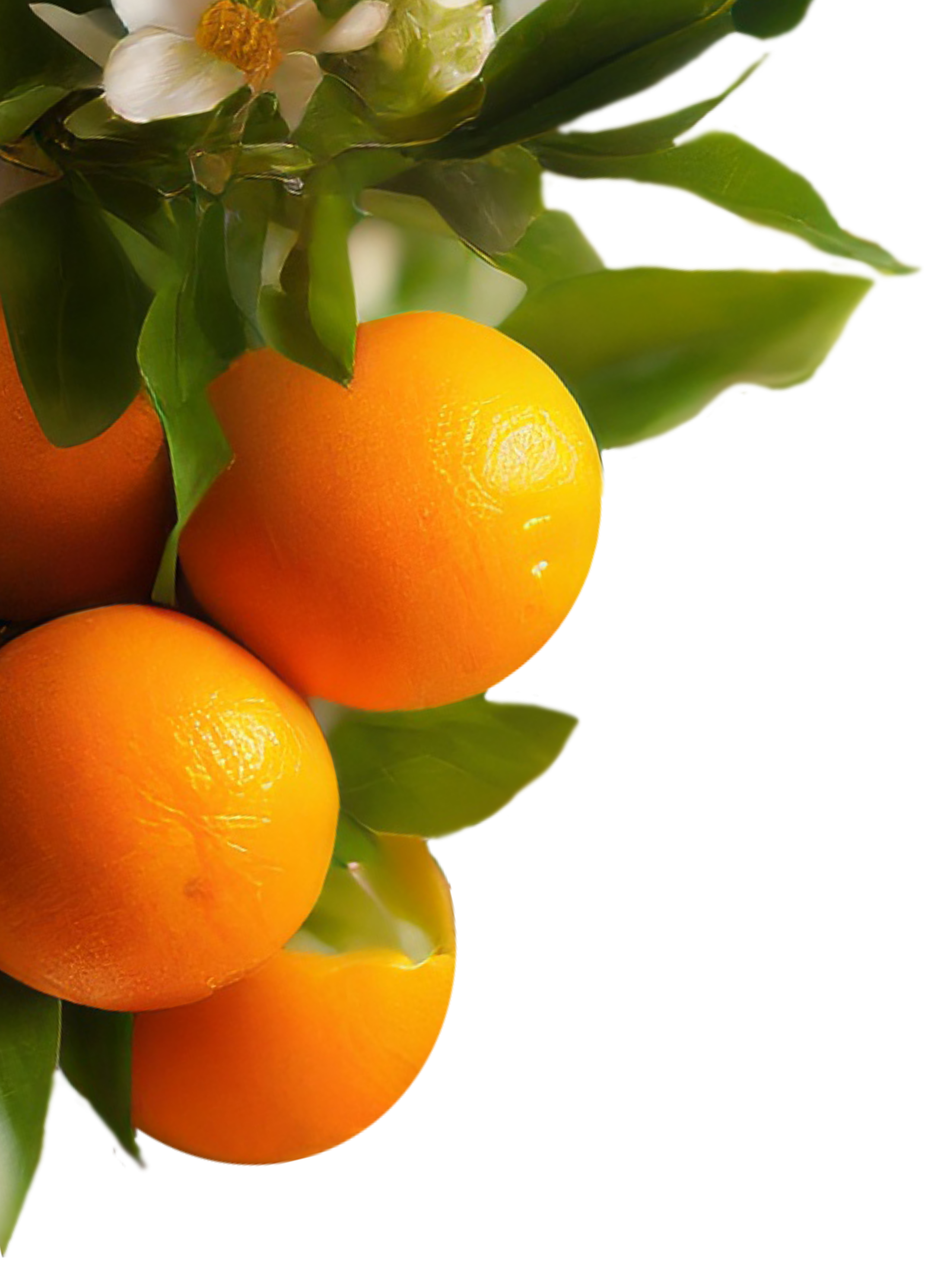 Laranja