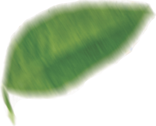 Voc&ecirc; sabe o que &eacute; envase ass&eacute;ptico?