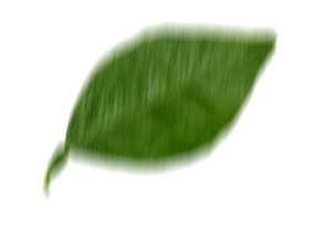 Voc&ecirc; sabe o que &eacute; envase ass&eacute;ptico?